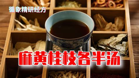 麻黃桂枝各半湯|桂枝麻黄各半汤